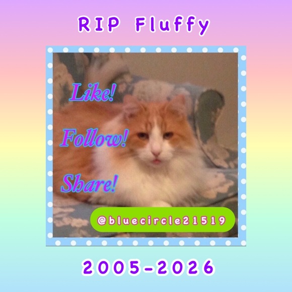 RIP Fluffy ๐๐ข - Picture 1 of 8